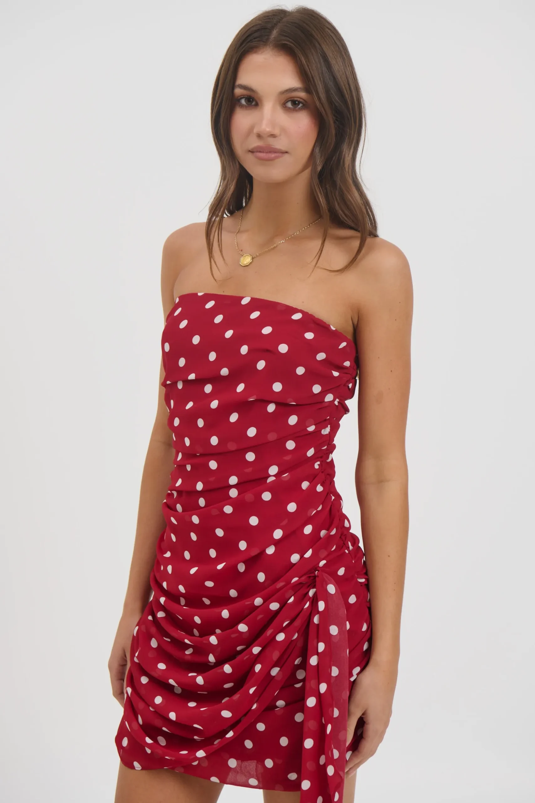 Charley Mini Dress Wine